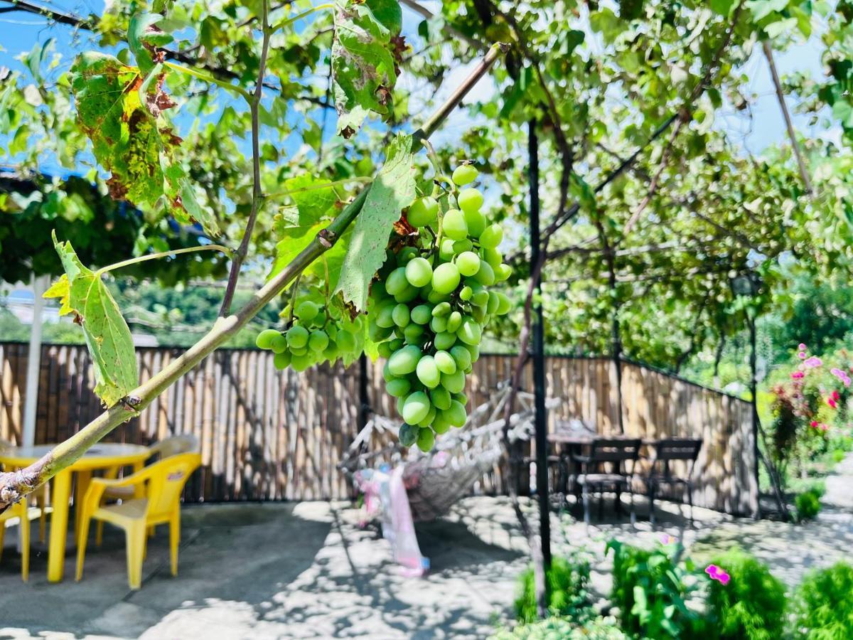 Hotel Sunny Akhaltsikhe  Luaran gambar
